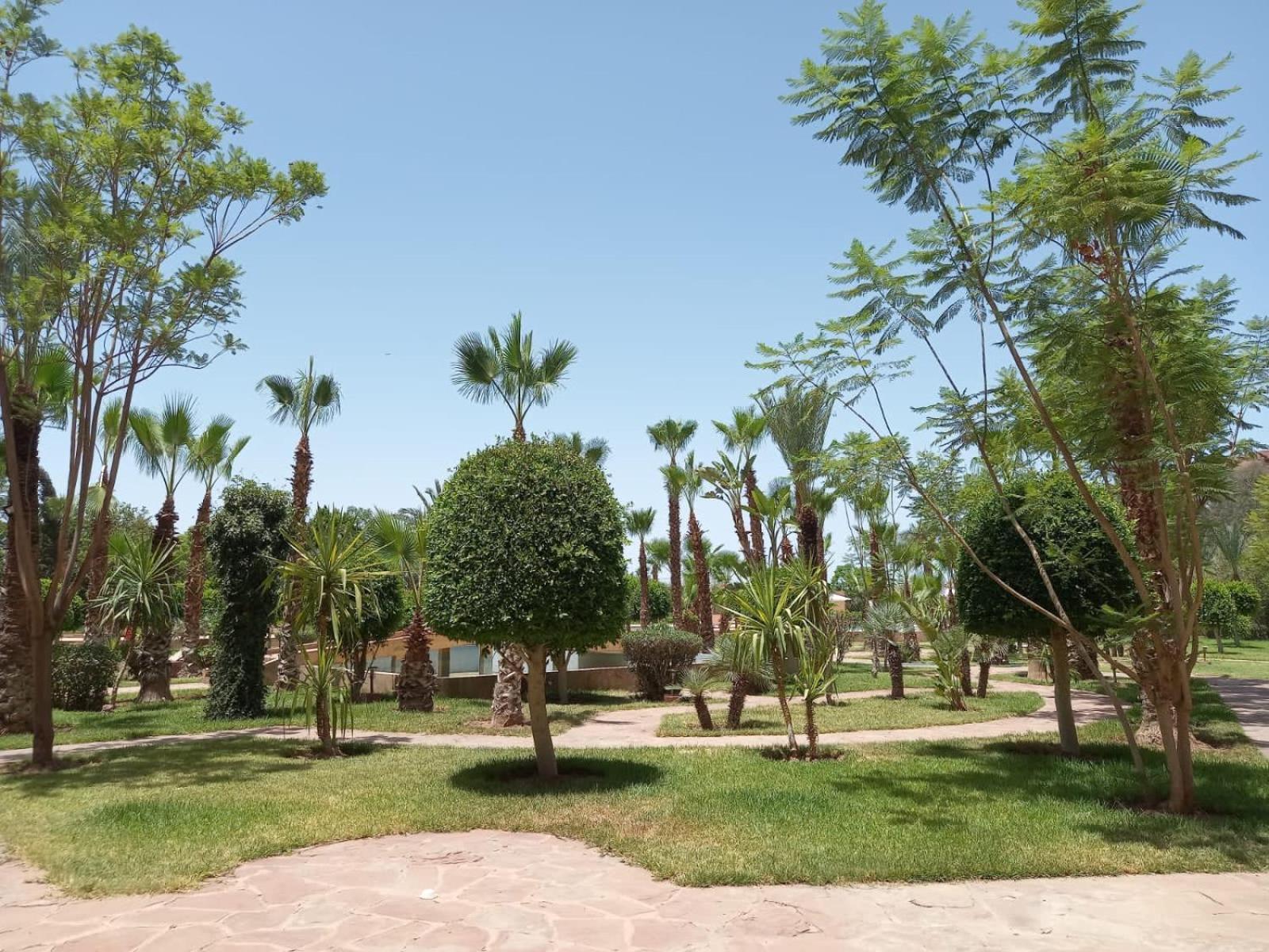 Apartamento Marrakech M Avenue Terrasse Jardin Marrakesh Exterior foto